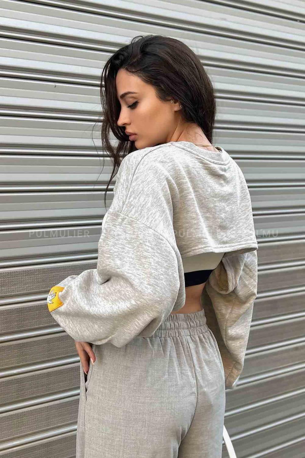 Gray Normal Neck Zero Arm Knitwear Crop